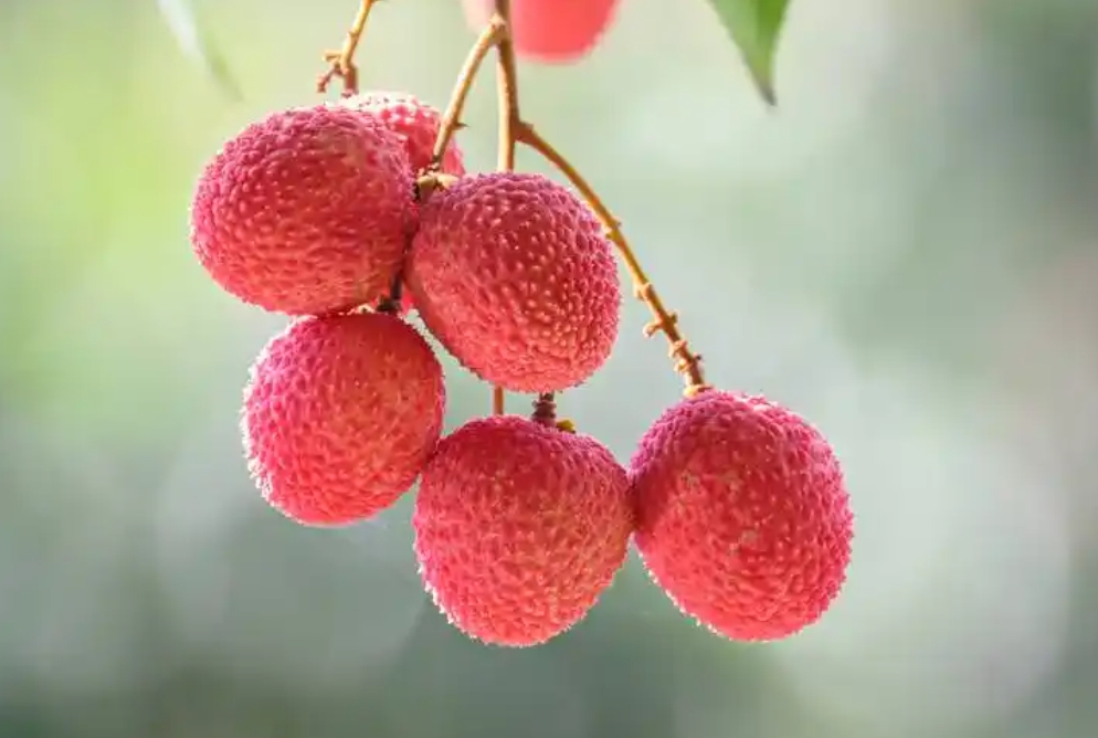 微信截图_20250326115727.png