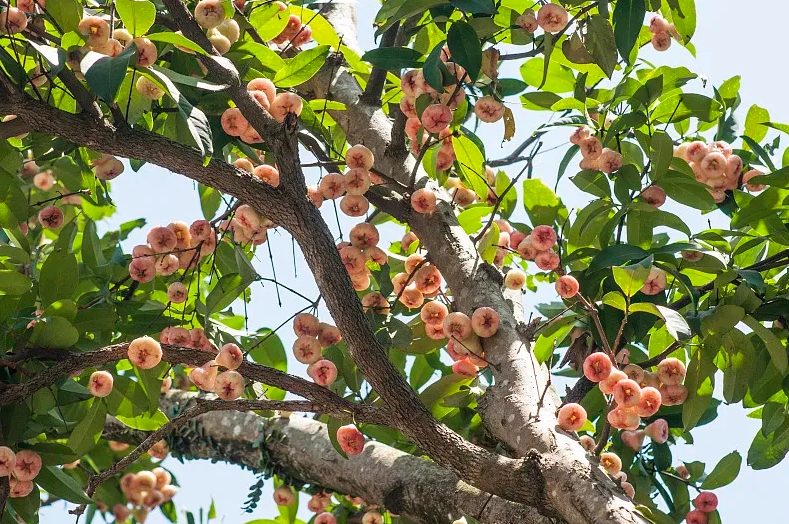 微信截图_20250402160118.png